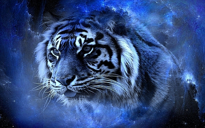 Черный (Голубой) Водяной Тигр — символ 2022 года