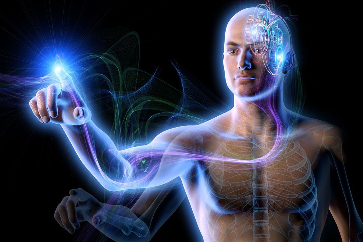 The Scientist (США): новые открытия в анатомии человека